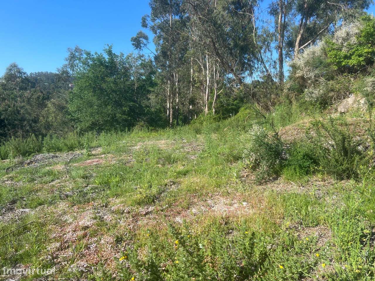 Terreno, 1 100 m², Fornelos - Grande imagem: 4/7