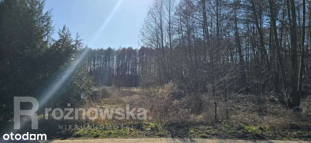 Działka między jeziorami I Media I Droga I Radzyń - Pełny obrazek: 3/4