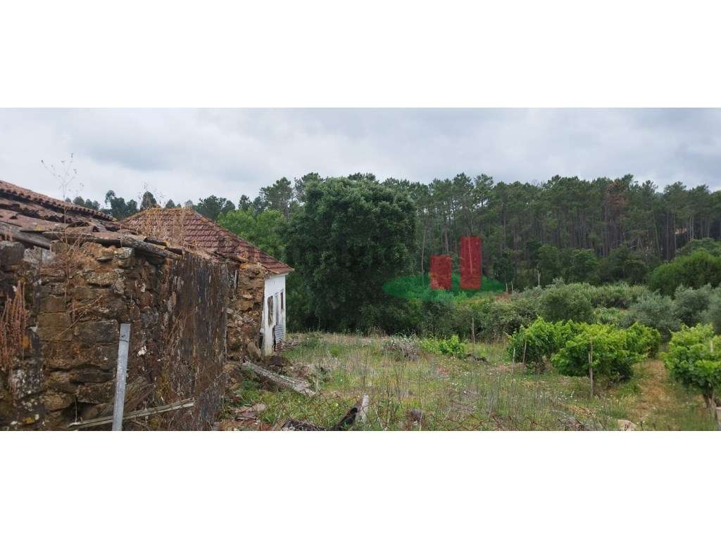 Moradia T2 Várzea do Cão***RIOMAGIC*** - Grande imagem: 4/8