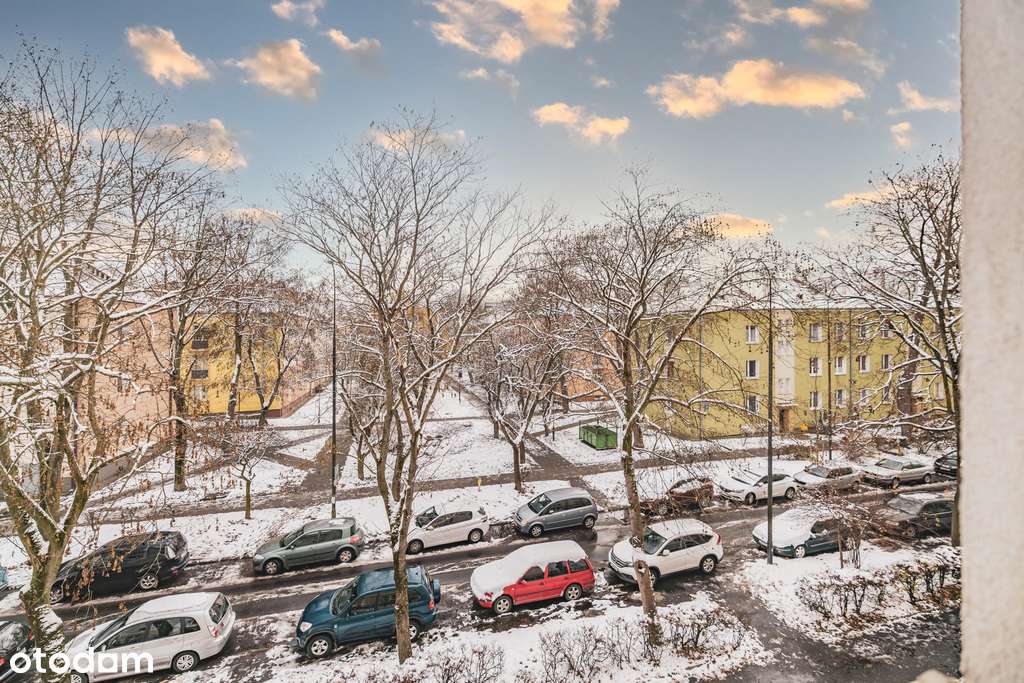 NOWE! Po remoncie / 2 pokoje / Zielona okolica /-10