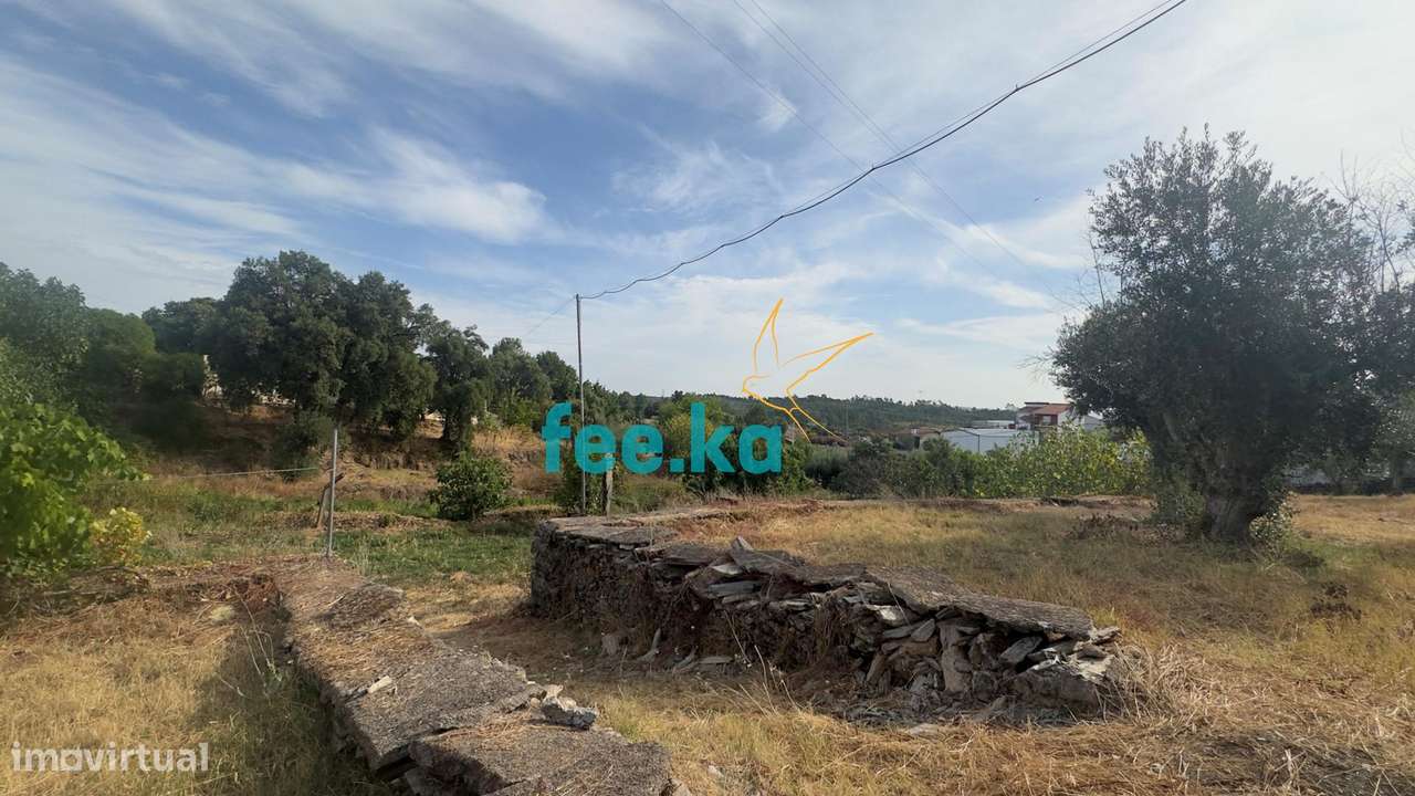 Quintinha-24
