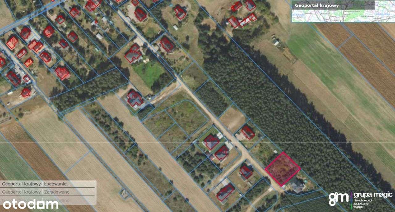 Działka ze ścianą lasu, Podzamek Golubski - Pełny obrazek: 4/15