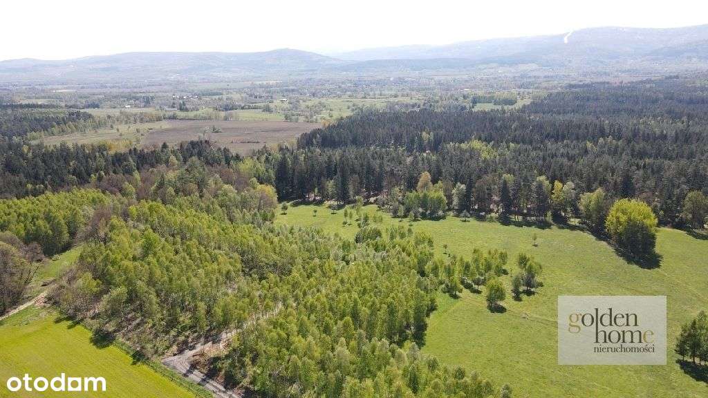 ⭐️Brzozowy Gaj⭐️działki na Przedgórzu Izerskim-8