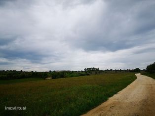 Terreno 57ha Santarém - Grande imagem: 4/11