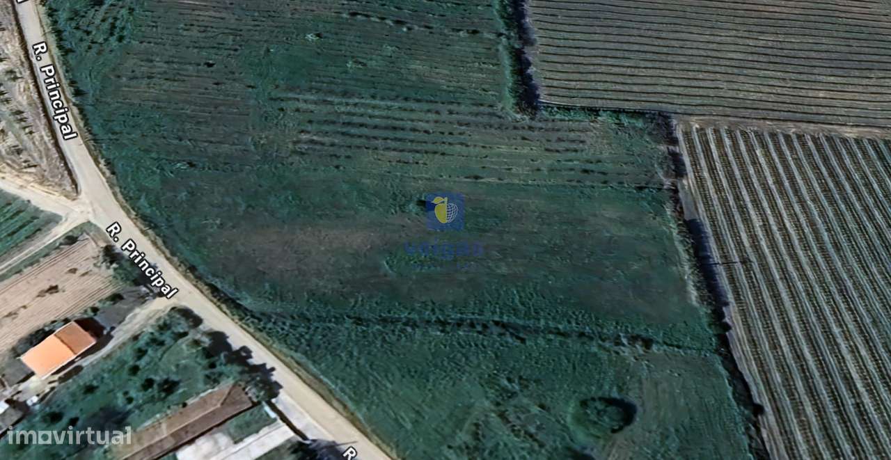 Terreno no Carvalhal - Grande imagem: 5/10