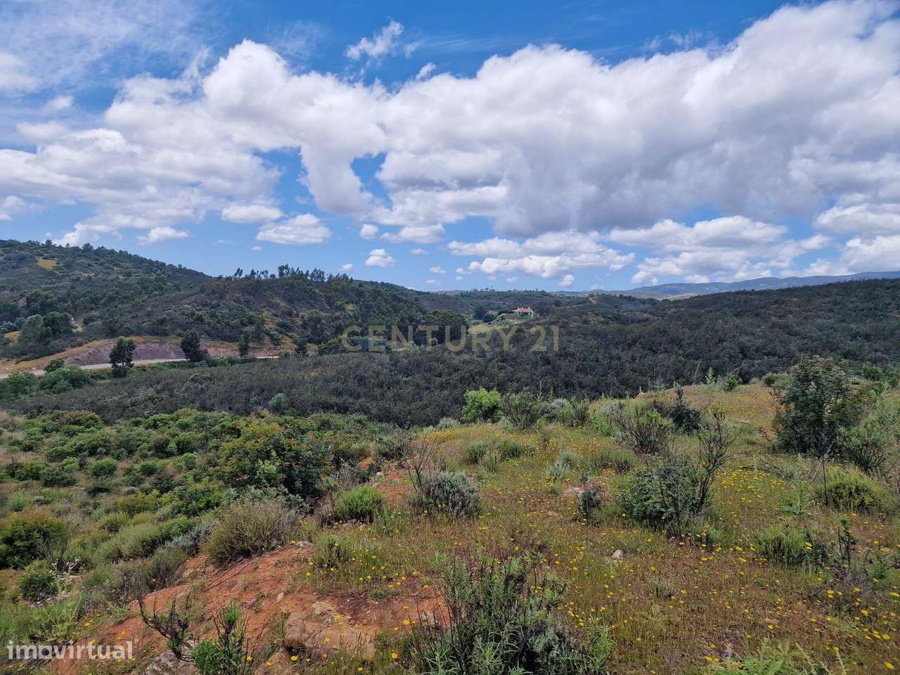Terreno de 12250m² em Portimão - Oportunidade Única! - Grande imagem: 5/6