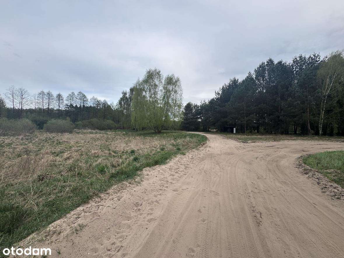 OKAZJA!!!!KORNELIN gmina Szubin 2 Jeziora, las, cisza-4