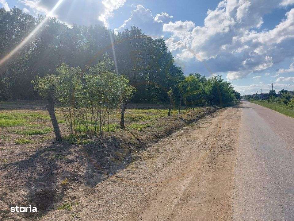 Teren Cerbu - Albota - cu PROIECT CASA si AVIZE - Imagine principală: 4/8