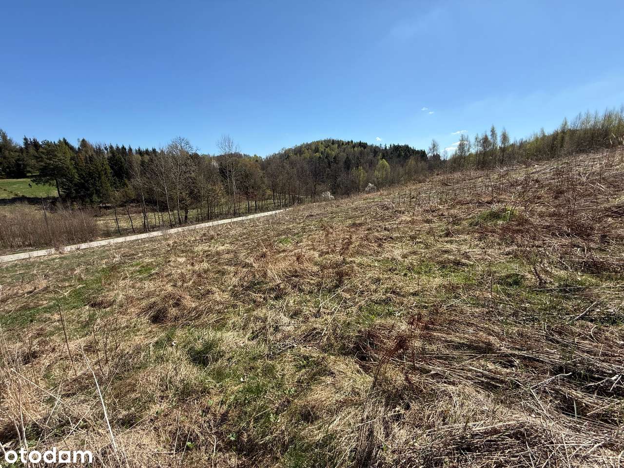 Jerzmanowice,działki budowlano-rolne 4237m2, ok.Jaskini Nietoperzowej-3