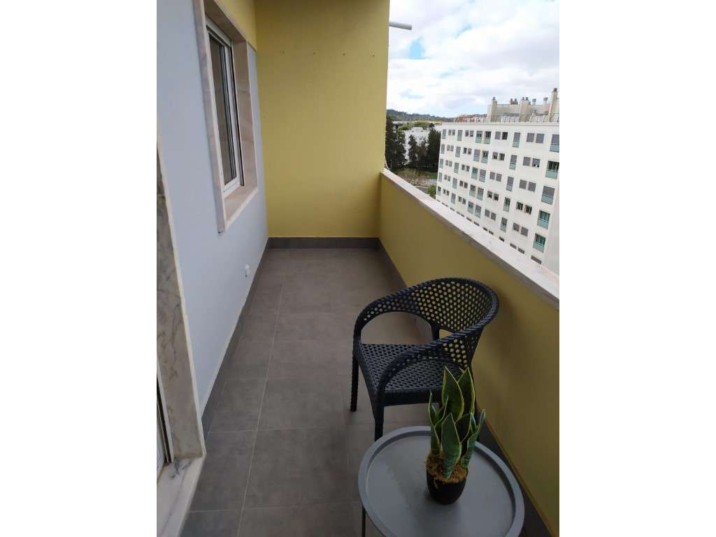 T3 totalmente remodelado e a estrear em Benfica-5