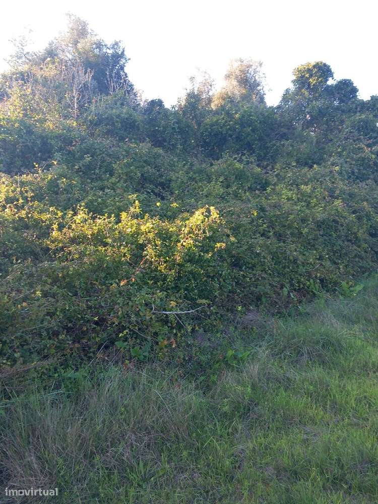 Venda Terreno - Grande imagem: 4/4