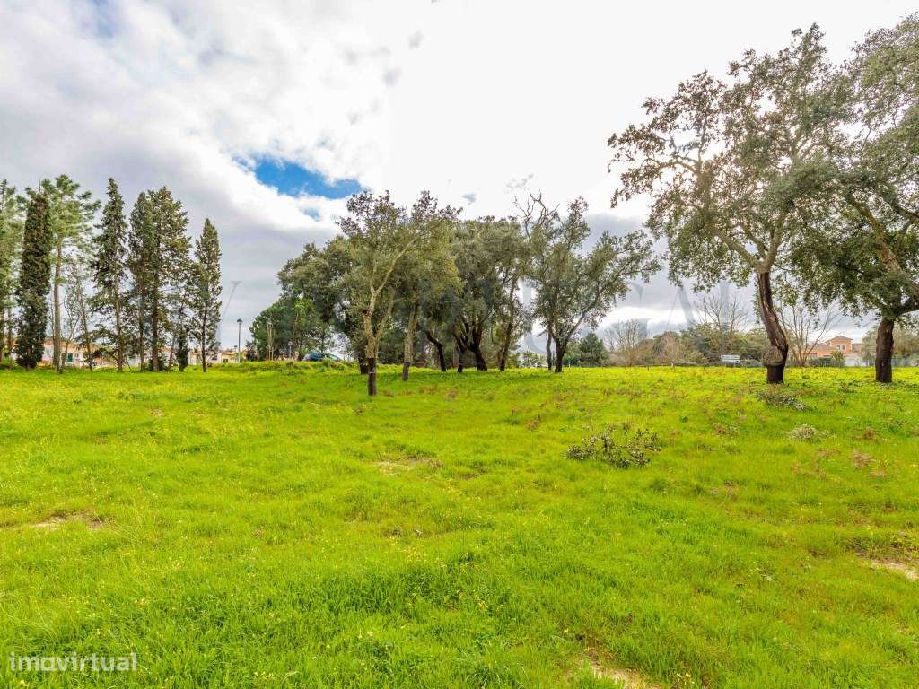 'Casa do Bosque': Terreno Urbano de 1 Hectare em Azeitão - Onde o L...-21