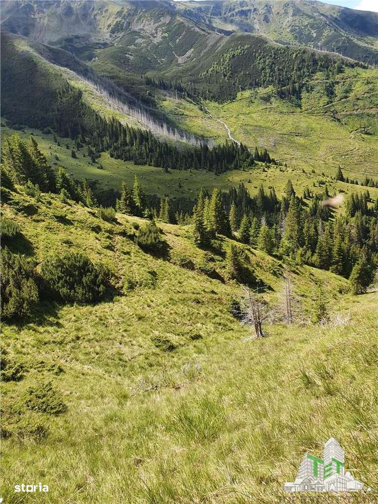 SUPER OPORTUNITATE, DE VANZARE O PROPRIETATE SPECIALA, MUNTELE VARFUL - Imagine principală: 2/20