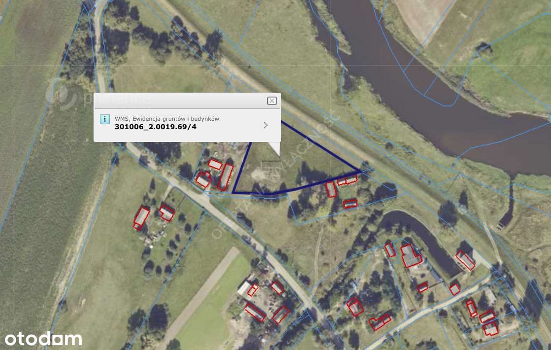 Działka budowlana–41 arów–Piersk, gm. Krzymów - Pełny obrazek: 5/7