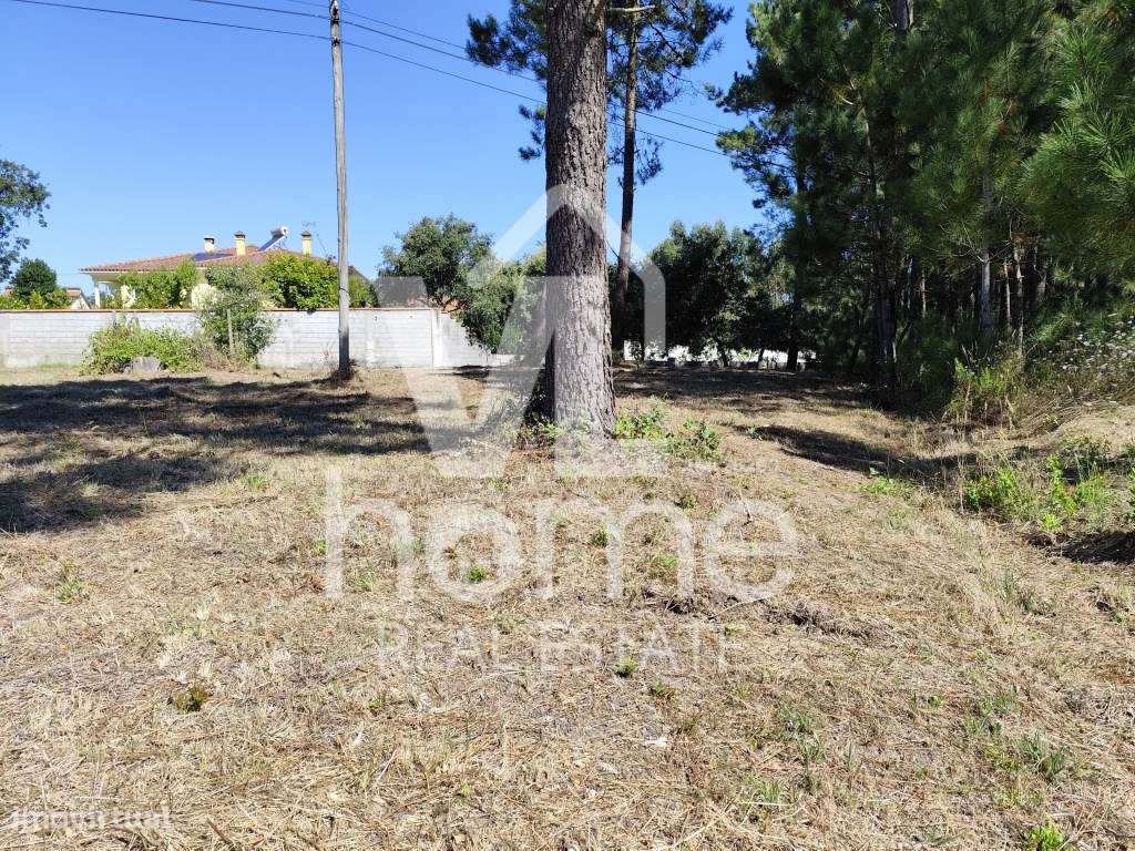 Invista no Futuro: Terreno com Potencial de Urbanização na Pocariça...-13