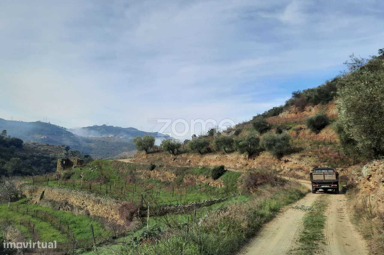 QUINTA EM SANTA LEOCÁDIA, TABUAÇO - Grande imagem: 4/44