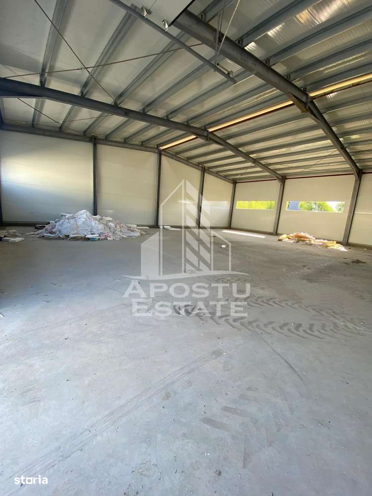 Hala noua de inchiriat 550 mp, birouri, parcare, Sacalaz. - Imagine principală: 5/12