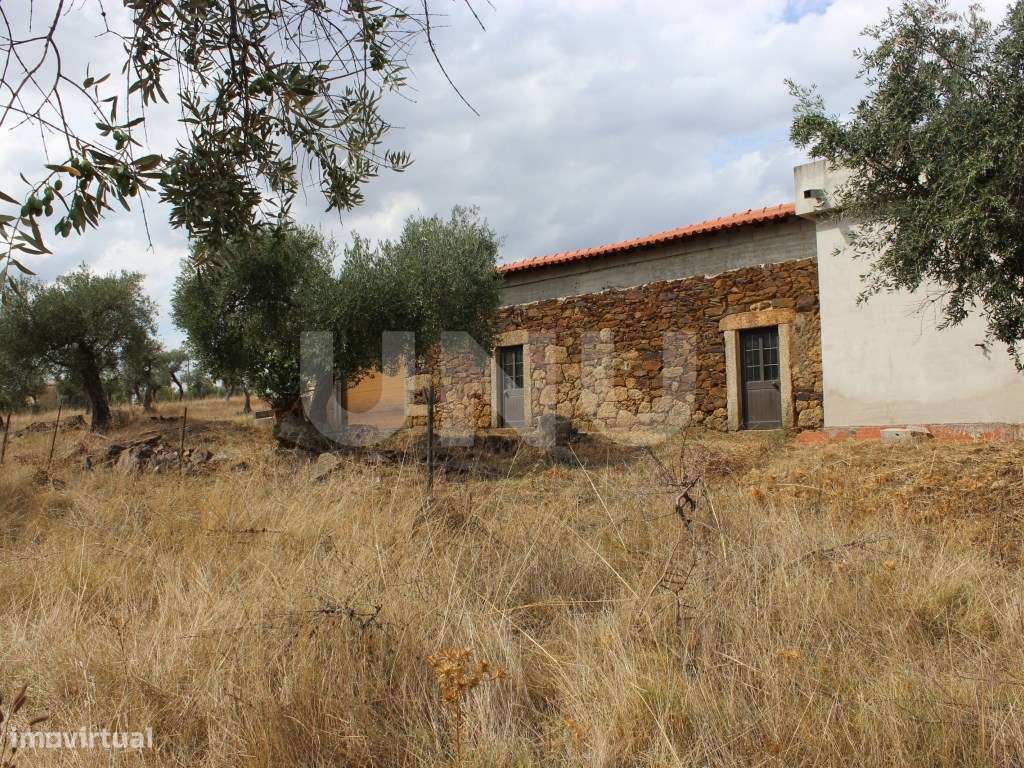 Quinta com 5000m2 para Venda na Mata. - Grande imagem: 2/33