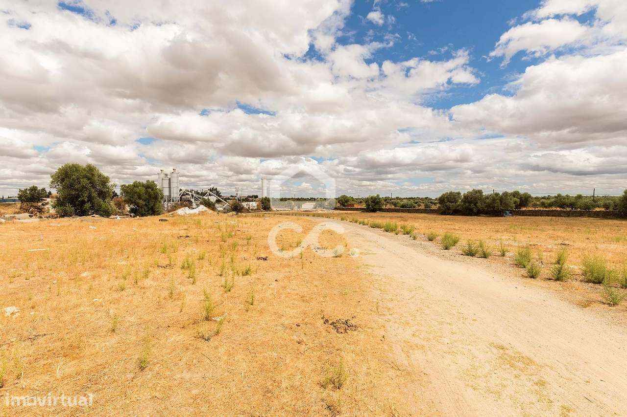 Terreno com 36 500 m2 para construção | Reguengos de Monsaraz - Grande imagem: 4/15