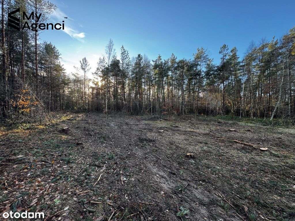 Lewino, ul. Lipowa - działki na sprzedaż-9