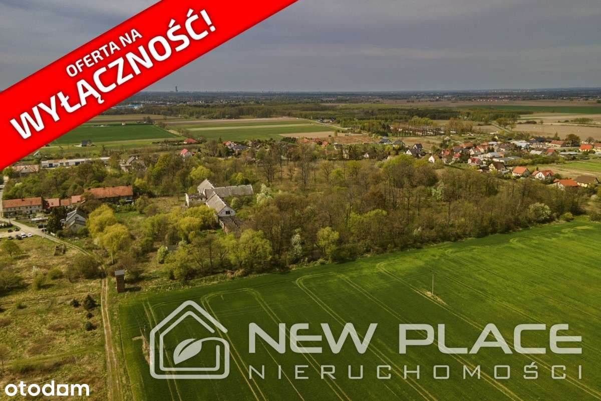 Grunt 4 ha, Mpzp w trakcie, Jeszkowice Czernica - Pełny obrazek: 5/10