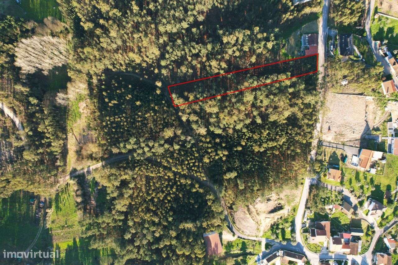 Terreno Para Construção localizado no Cercal, Ourém! - Grande imagem: 4/9