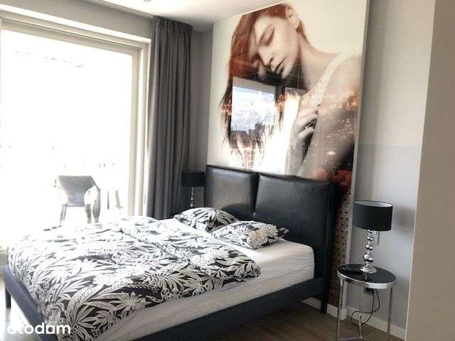 Ovo Modern Studio For Sale-1