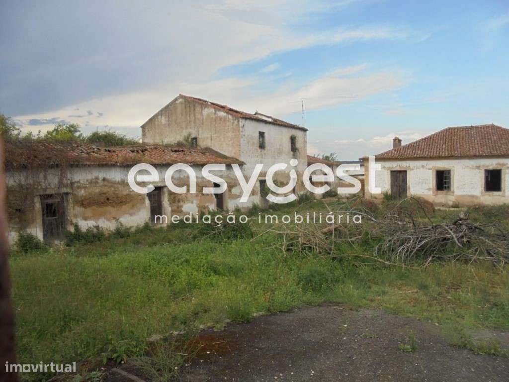 Quinta com moradia T6 em Constância, Santa Margarida da Coutada - Grande imagem: 3/60