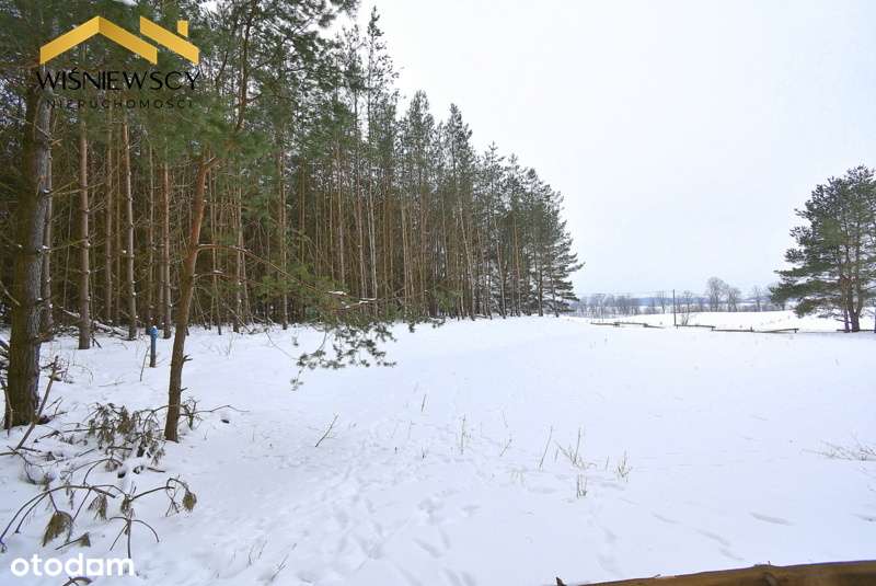 Działka budowlana 3002m2, uzbrojona z lasem-3