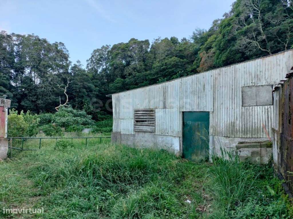 Invista no Campo - Terreno Ideal para Exploração Agrícola e Suína - Grande imagem: 3/22