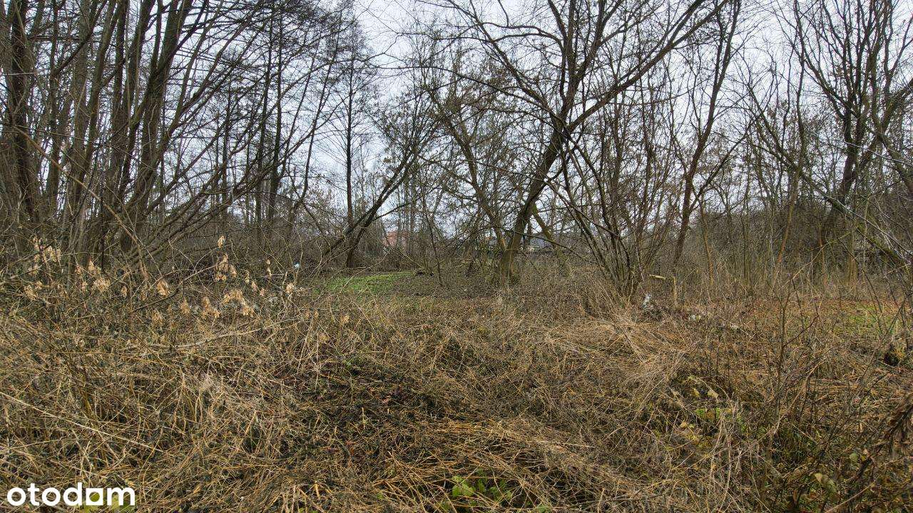 Na sprzedaż działki budowlane – Kuznocin, nr 78/21 | 929 m² - Pełny obrazek: 5/13