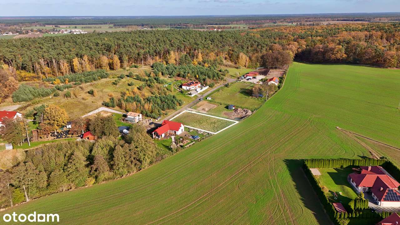Żabno, działka budowlana, Żabi Gród - Pełny obrazek: 4/7
