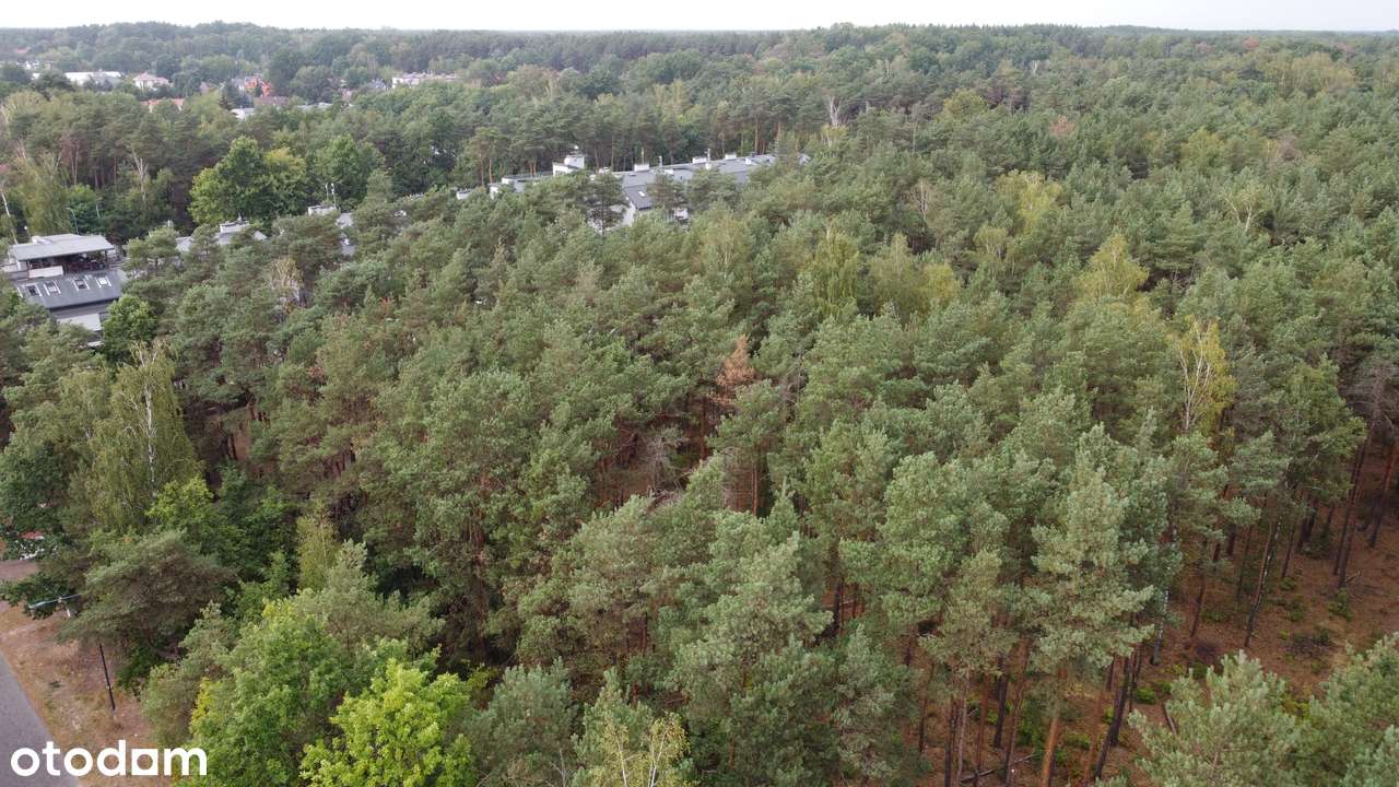 GRUNT INWESTYCYJNY NA SPRZEDAŻ – WARSZAWA WESOŁA (STARA MIŁOSNA) - Pełny obrazek: 5/13