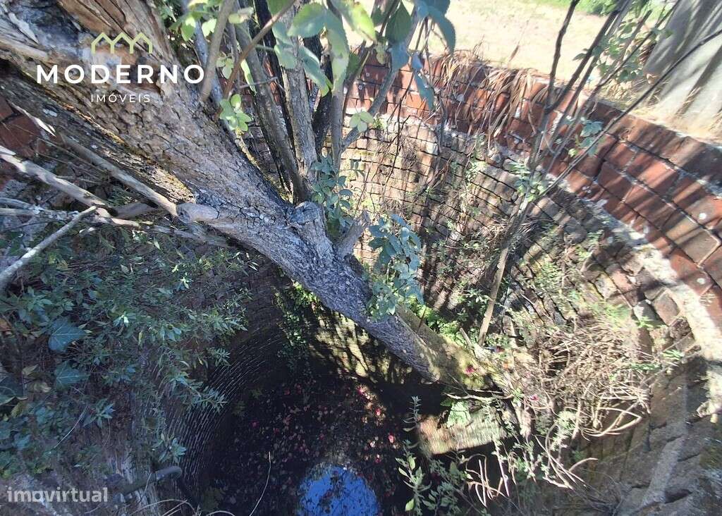 Moradia para recuperar – Guia, Pombal-36