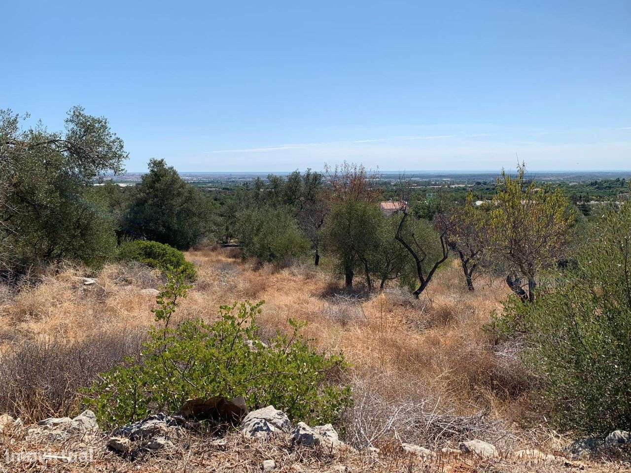 Terreno Urbano, com 3 artigos, Colmeal-12