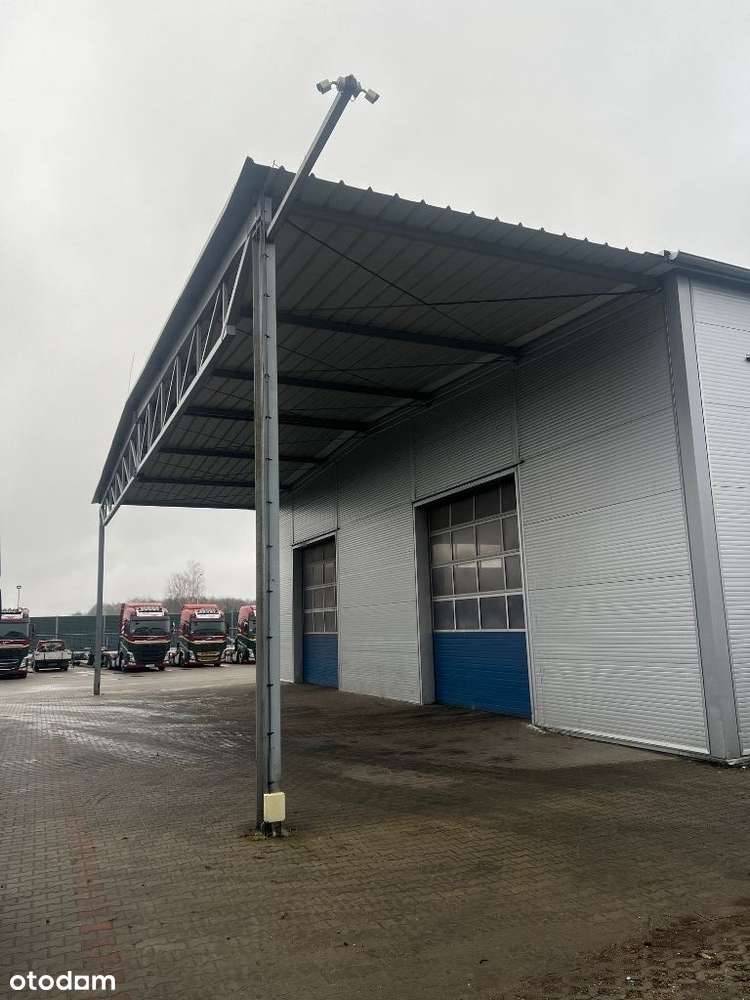 Hala magazyn 630m2+wiata 120m2 6m wysoka, przy S10 - Pełny obrazek: 5/6
