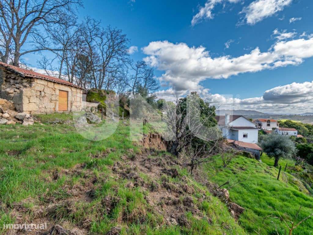 Quinta T2 com Habitação, Infraestruturas Agrícolas e Terreno com Vi...-7