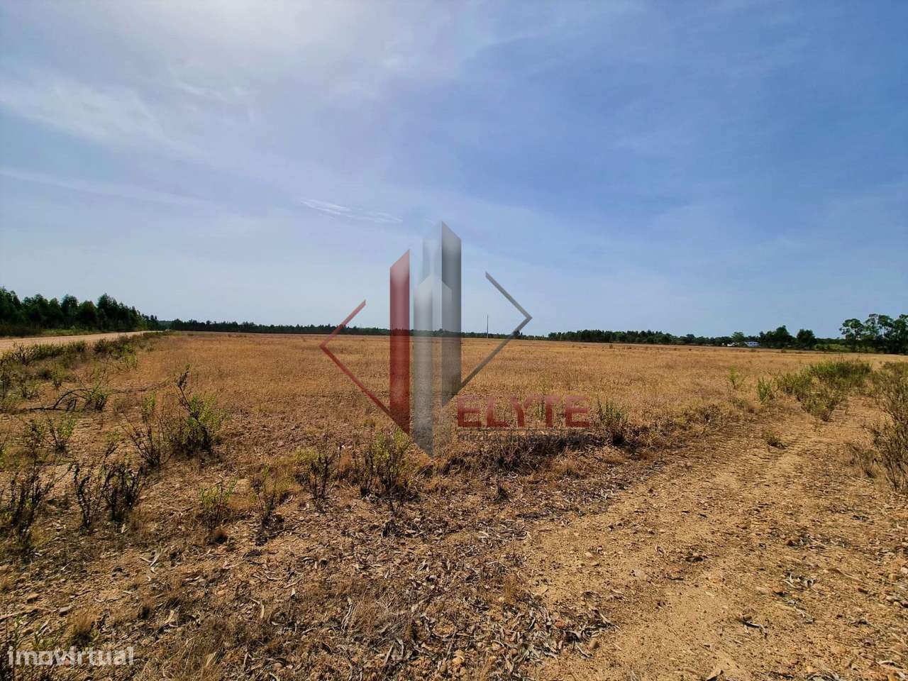 Terreno em Gloria do Ribatejo com 13ha-6