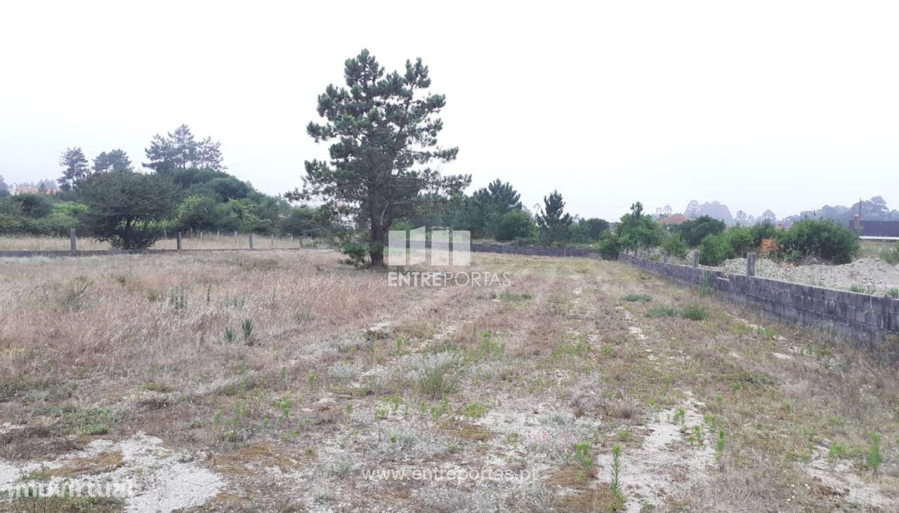 Venda de Terreno com 4.500m², Chafé, Viana do Castelo - Grande imagem: 2/28