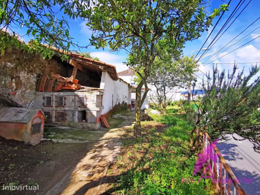 Moradia Térrea em Santa Marta de Portuzelo-17