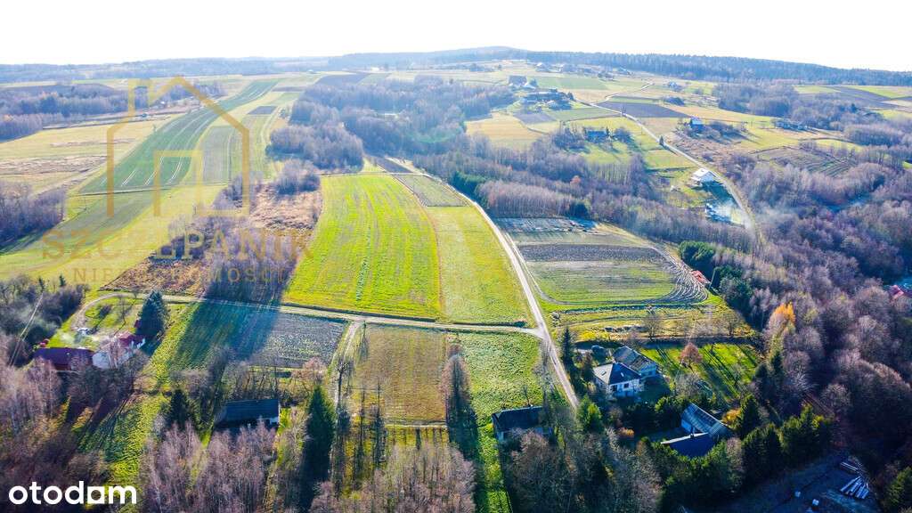 Klimatyczny, drewniany dom wśród drzew-9