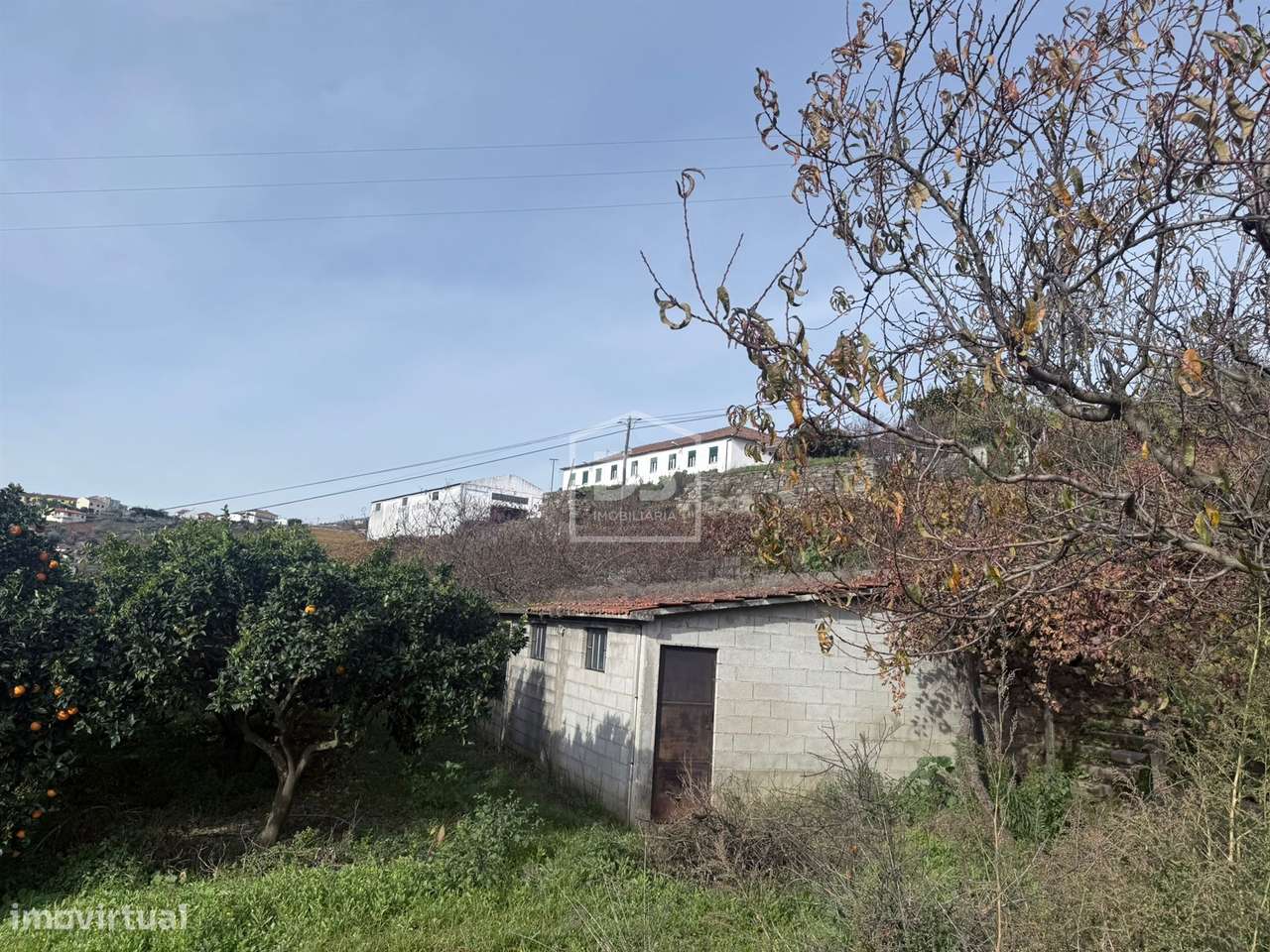 Quinta T4 Venda em Fontelas,Peso da Régua-28