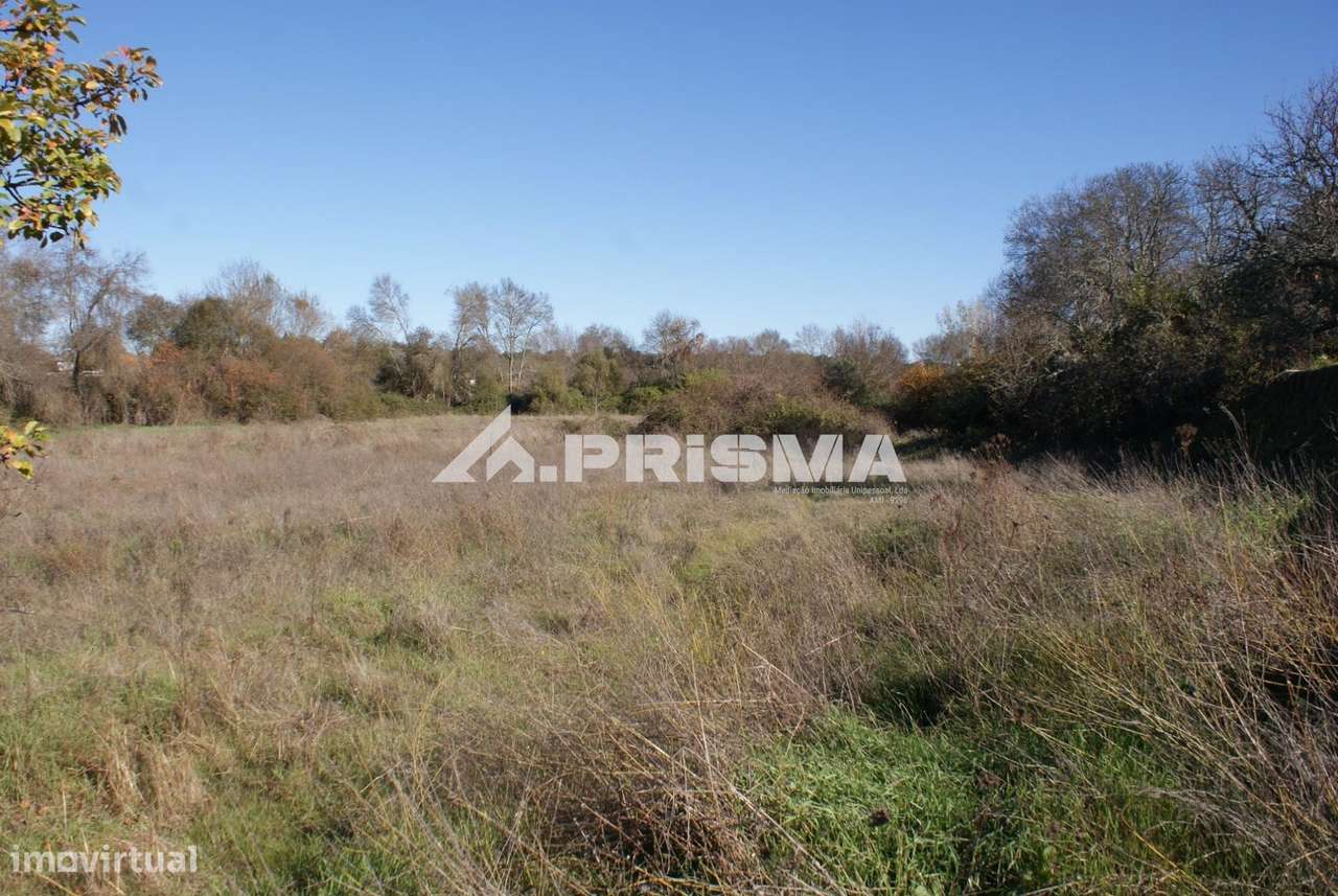 Oportunidade Única às Portas de Castelo Branco!-13