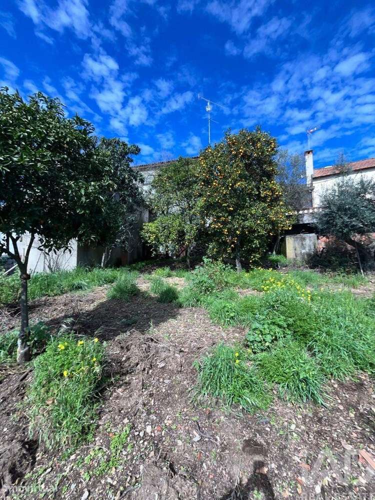 Casa / Villa T2 em Sobreira Formosa e Alvito da Beira de 82,00 m2 - Grande imagem: 5/25