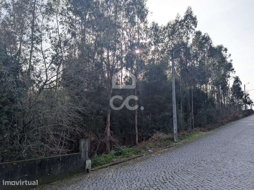 Terreno rústico, para venda - Grande imagem: 2/12