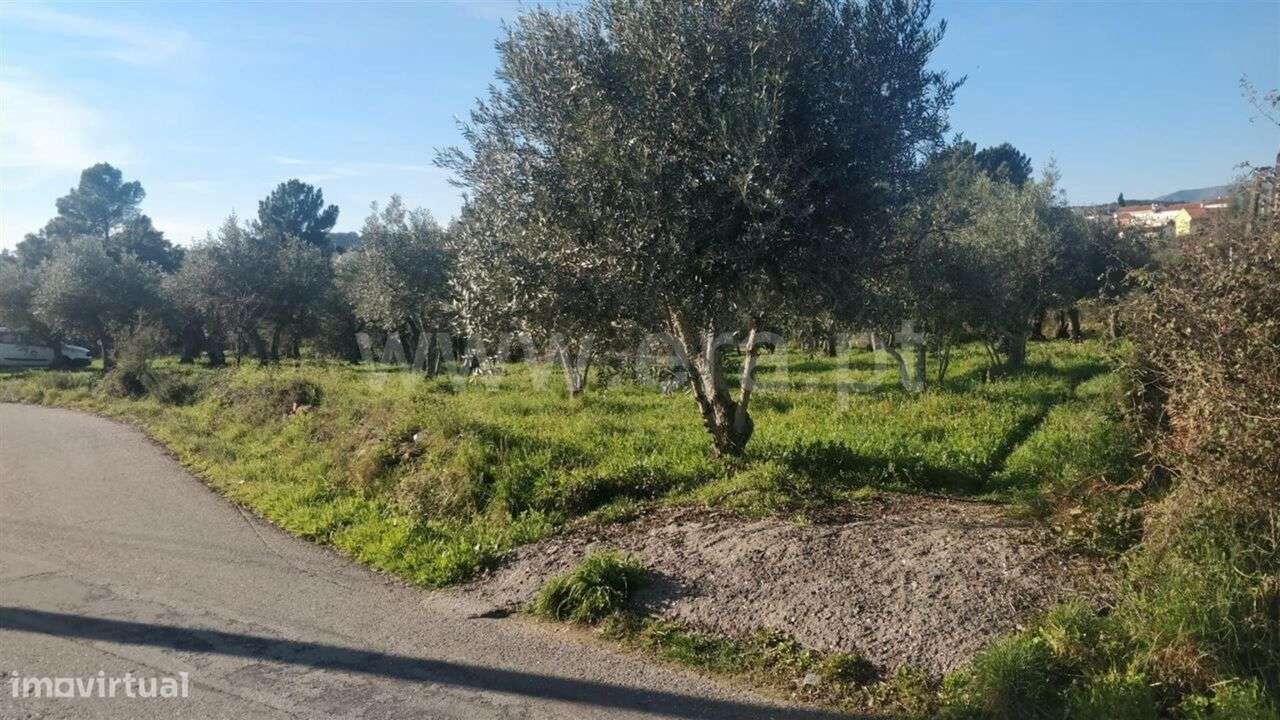Terreno Rústico / Covilhã, Dominguiso - Grande imagem: 3/6