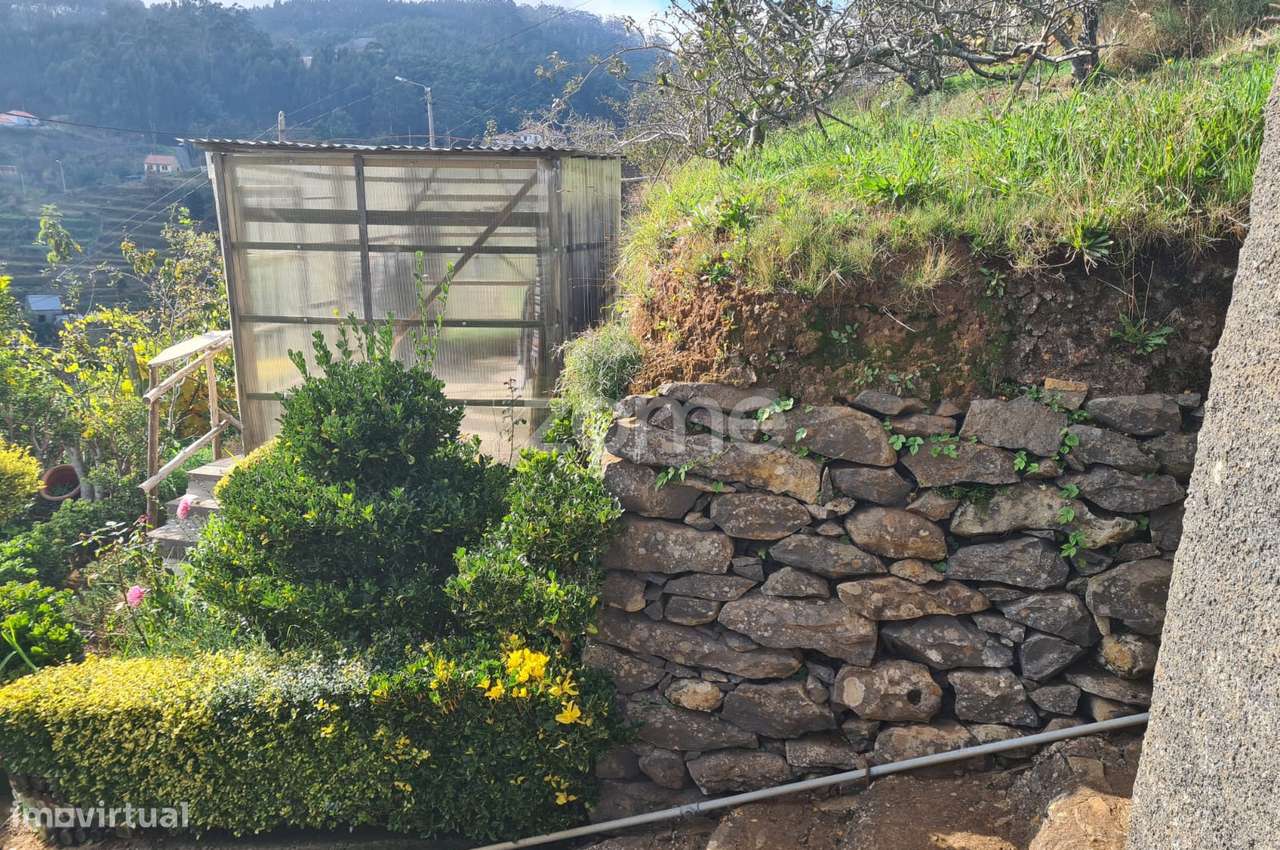 Terreno urbanizável com 800m2 na Camacha, Madeira - Grande imagem: 4/20