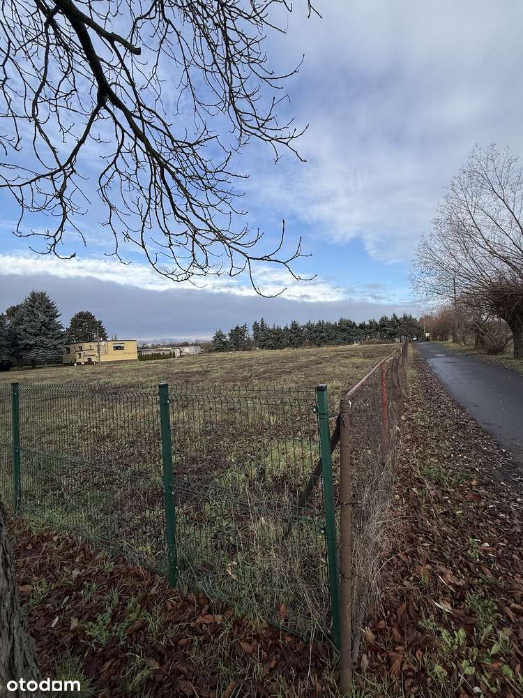 Chyby, ul. Szamotulska działka mieszkaniowo-usługowa-6