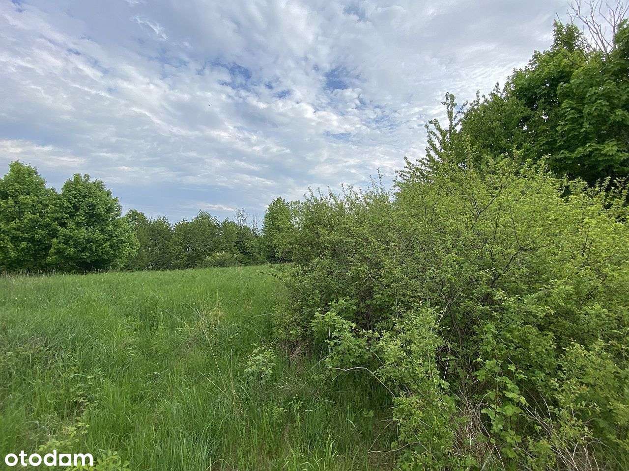 Ustroń - działka 21 ar - Pełny obrazek: 3/20