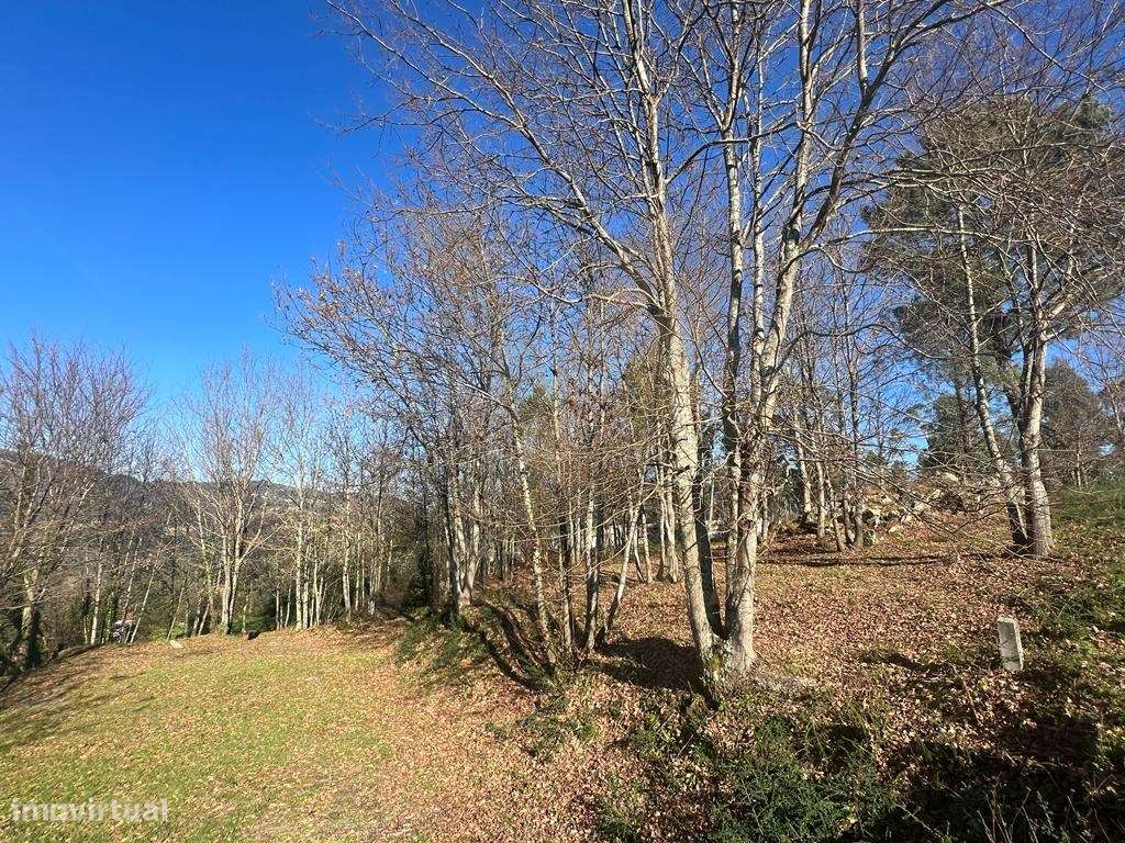 Terreno 2.000 m² - Gemieira, Ponte de Lima - Grande imagem: 5/7